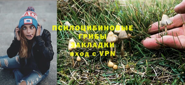 МДПВ Покровск