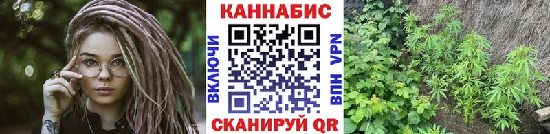 Купить закладки  Рубцовск  Шишки марихуана планчик 